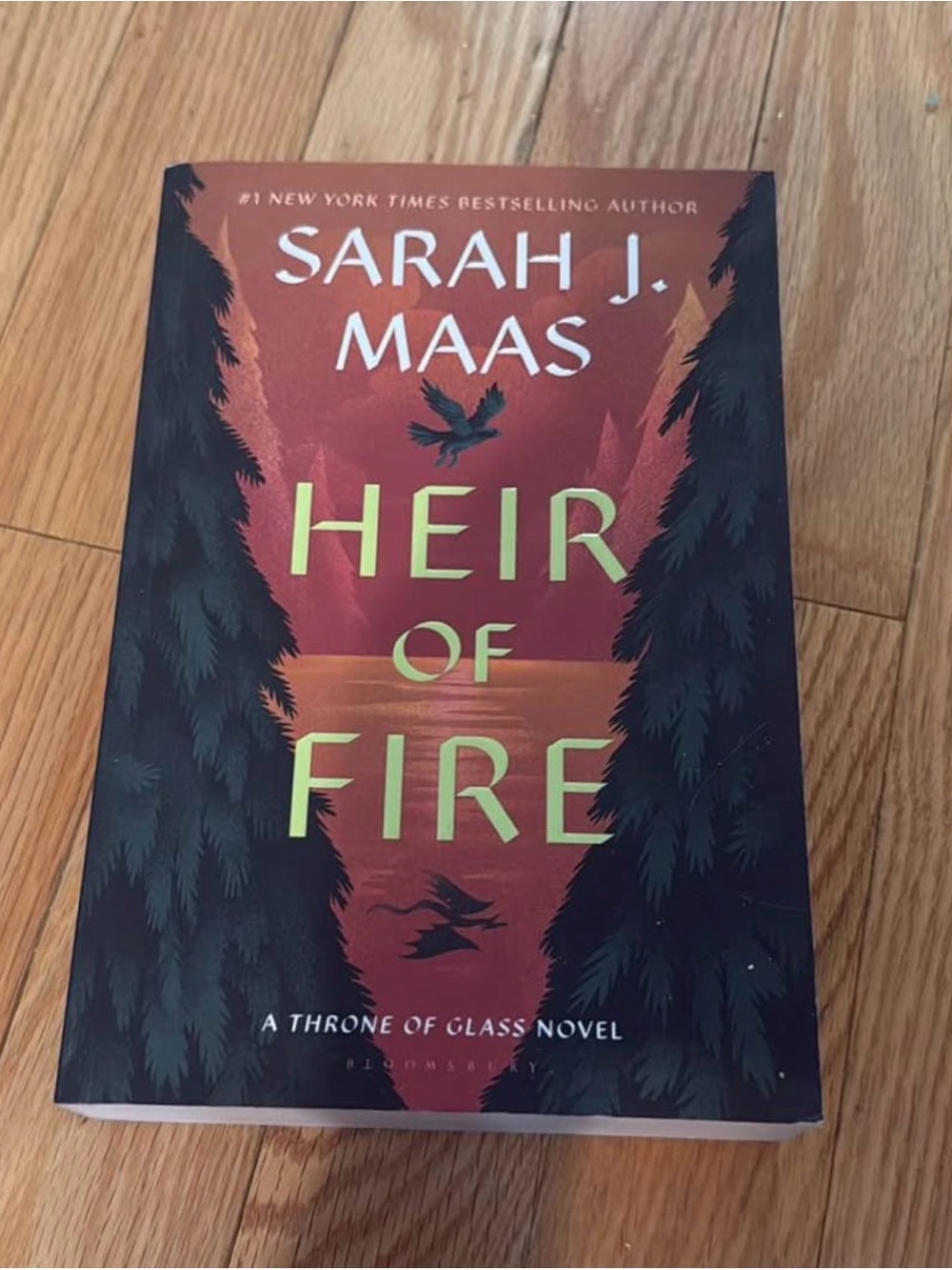 "Heir of Fire" Book - Red and Black Paperback By Sarah J Maas